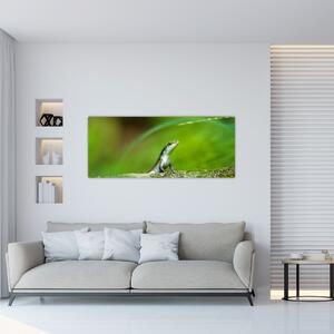 Obraz jašteričky (120x50 cm)