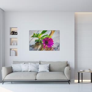Obraz rezanej kvetiny (90x60 cm)