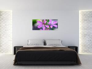Detailný obraz kvetiny (120x50 cm)