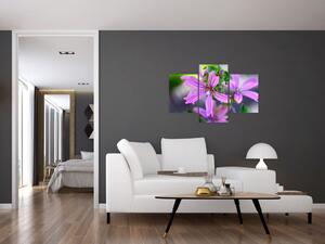 Detailný obraz kvetiny (90x60 cm)