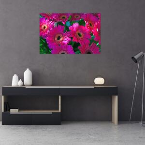 Obraz - kvety (90x60 cm)