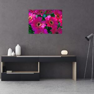Obraz - kvety (70x50 cm)