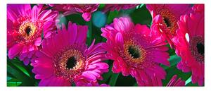 Obraz - kvety (120x50 cm)