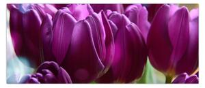 Obraz tulipánov (120x50 cm)