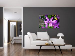 Obraz - lúčne kvety (90x60 cm)