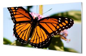 Sklenený obraz farebný motýľ 120x60 cm 2 Prívesky