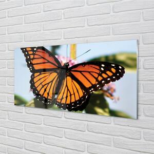 Sklenený obraz farebný motýľ 120x60 cm 2 Prívesky