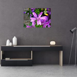 Obraz - lúčne kvety (70x50 cm)