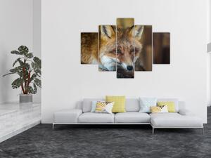 Obraz líšky (150x105 cm)
