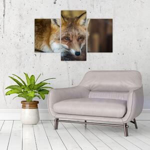 Obraz líšky (90x60 cm)
