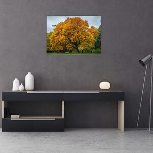 Obraz stromu (70x50 cm)