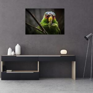 Obraz papagája (90x60 cm)