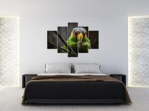 Obraz papagája (150x105 cm)