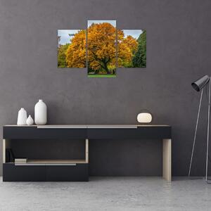 Obraz stromu (90x60 cm)