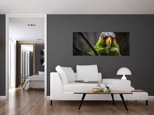 Obraz papagája (120x50 cm)