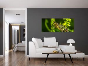 Obraz hmyzu (120x50 cm)
