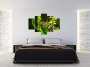 Obraz hmyzu (150x105 cm)