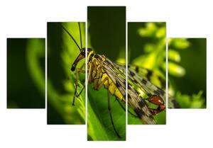 Obraz hmyzu (150x105 cm)