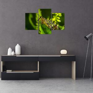 Obraz hmyzu (90x60 cm)