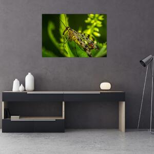 Obraz hmyzu (90x60 cm)