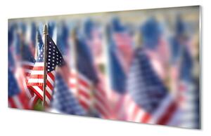 Nástenný panel  Vlajky Spojených štátov 100x50 cm