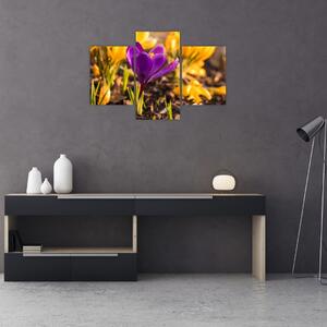 Obraz fialovej kvetiny (90x60 cm)