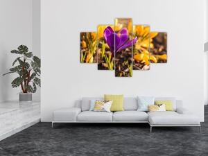 Obraz fialovej kvetiny (150x105 cm)