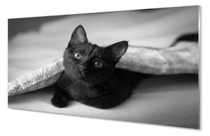 Sklenený obraz Mačka pod prikrývkou 100x50 cm 2 Prívesky