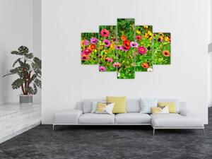 Obraz lúčnych kvetov (150x105 cm)