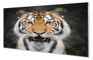 Sklenený obraz tiger 140x70 cm 4 Prívesky