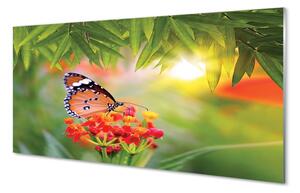 Sklenený obraz Farebný motýľ kvety 100x50cm