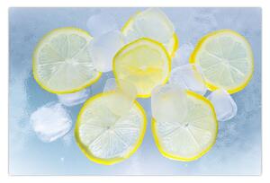 Obraz citróna v ľade (90x60 cm)
