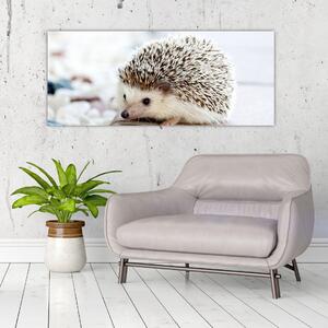 Obraz ježka (120x50 cm)