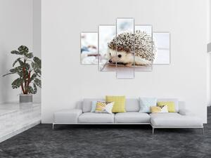 Obraz ježka (150x105 cm)