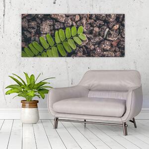 Obraz zelenej rastliny (120x50 cm)