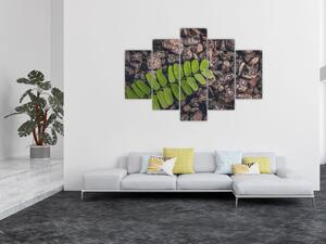 Obraz zelenej rastliny (150x105 cm)