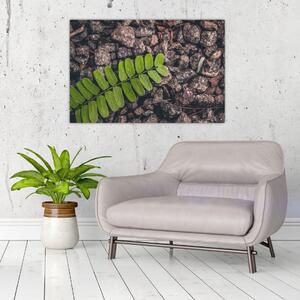 Obraz zelenej rastliny (90x60 cm)