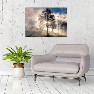 Obraz stromu v hmle (70x50 cm)