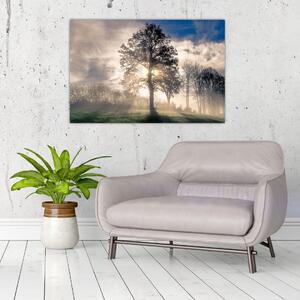 Obraz stromu v hmle (90x60 cm)