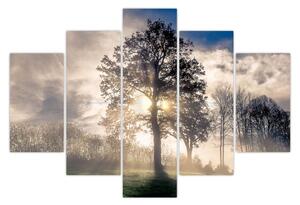 Obraz stromu v hmle (150x105 cm)