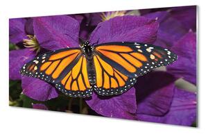 Sklenený obraz Farebný motýľ kvety 120x60 cm 2 Prívesky