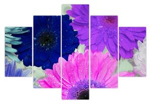 Obraz farebných kvetín (150x105 cm)