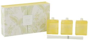 Darčeková krabička troch fľaštičiek difuzéru v citrónovej vôni Citrus Sense Yellow s paličkami 22 x 13,5 x 4,5 cm Jolipa 43760