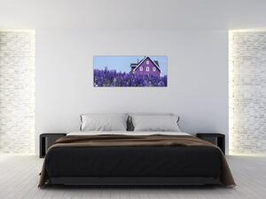 Obraz levanduľového poľa (120x50 cm)