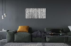 Sklenený obraz Čierna a biela strom 120x60 cm 2 Prívesky