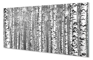 Sklenený obraz Čierna a biela strom 140x70 cm 2 Prívesky