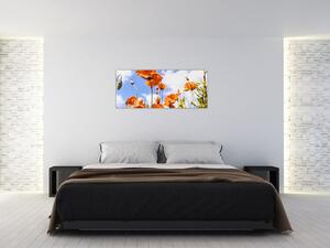 Obraz vlčích makov (120x50 cm)
