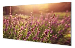 Sklenený obraz heather pole 100x50 cm 2 Prívesky