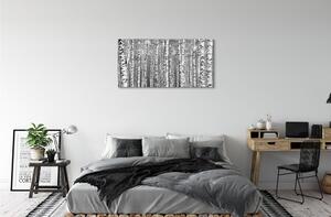 Sklenený obraz Čierna a biela strom 120x60 cm 2 Prívesky