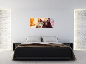 Obraz čiernej mačky (120x50 cm)